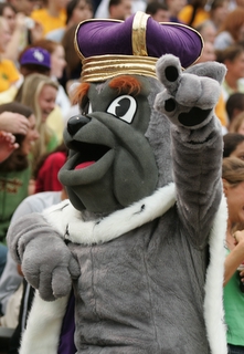 Duke Dog posing pointing up towards the sky