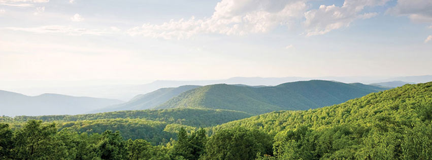 Cover Photo Image