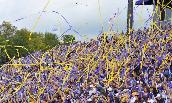 Football fans fly their purple and gold streamers