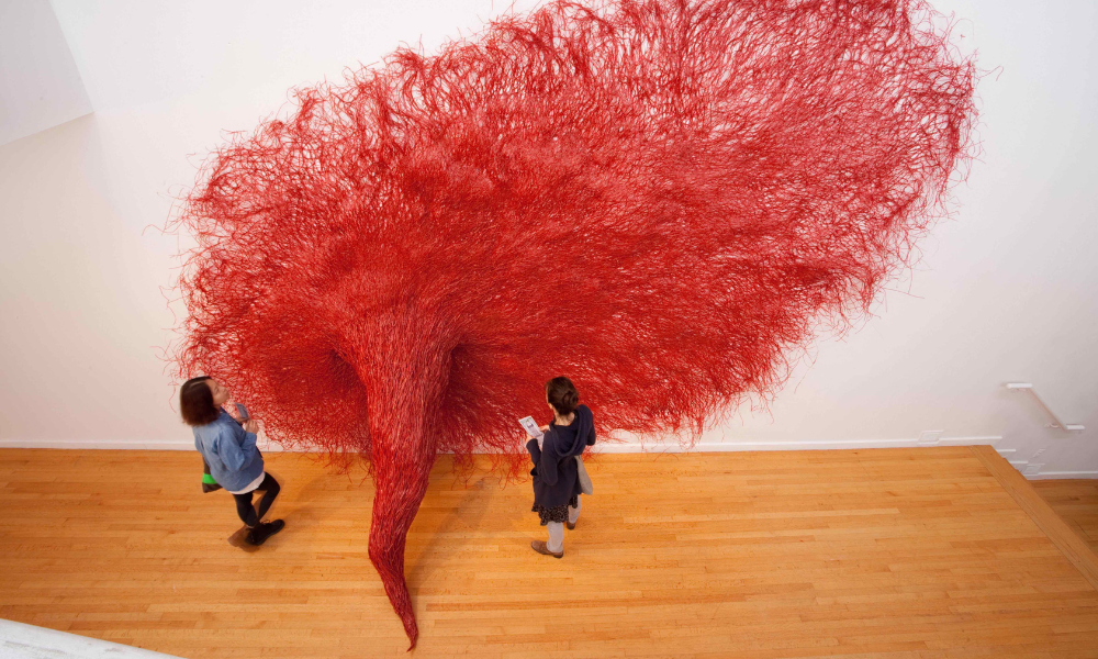 MiKyoung's "Symbiosis" viewed from above. Red constructed textile piece