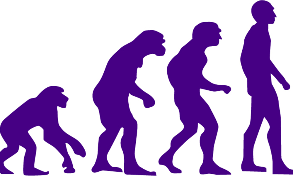 Evolution graphic