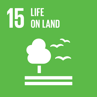 Figure 1. SDG15 sets out to protect and restore life on land. Figures courtesy of UN Sustainable Development Goals.