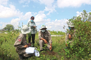 NPA’s Le Thai Anh and Le Trung Hieu complete training on the collection of soil samples under the guidance of IREN’s Ms. Tran Thi Tu.   Image courtesy of NPA Vietnam.