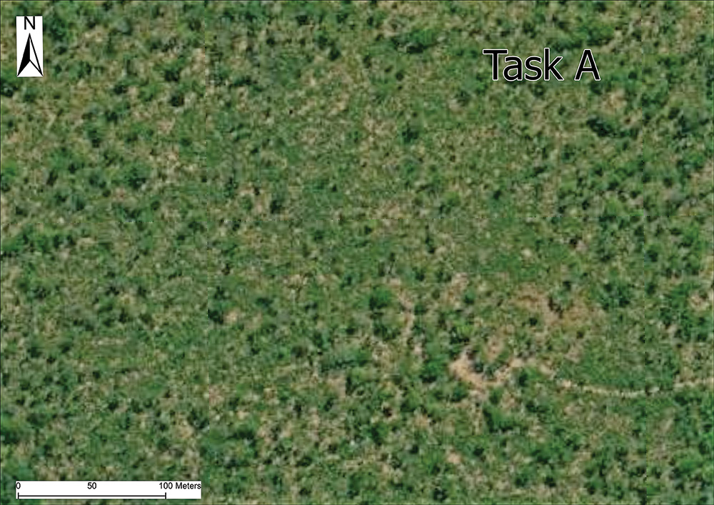 A satellite image of Task B showing vegetation covered area