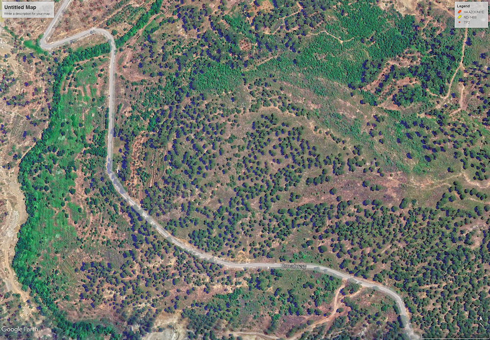 Top-down view of road in Lebanon.