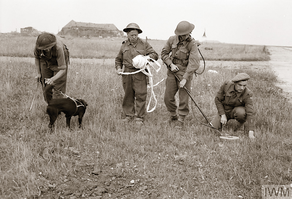 An old, black-and-white photo from World War II of four soldiers and a dog. One soldier operates a metal detector, another handles the dog. 