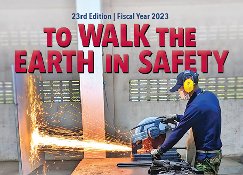 image for To Walk the Earth in Safety