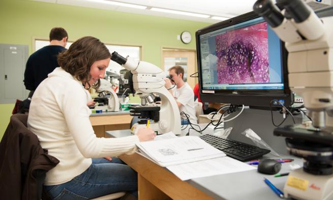 Students study cells in a biology lab