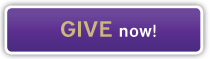 Give now purple button