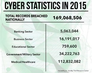 Image: 2015 Cyber Security Stats