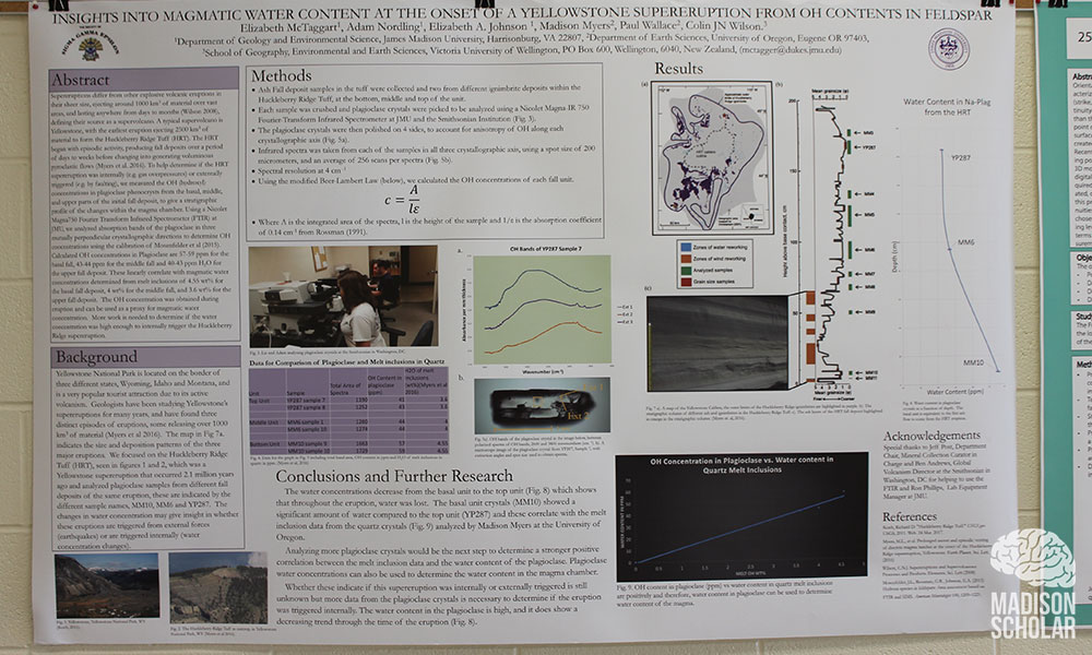 Liz McTaggart's research poster hanging on a wall.