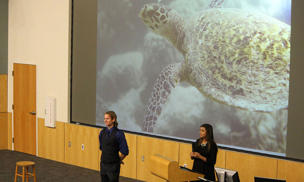 the screen shows a sea turtle while students discuss project