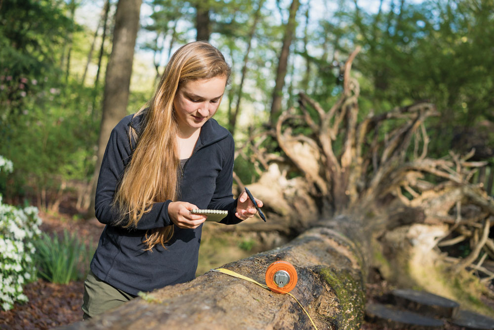 Anna Nordseth measuring a tree
