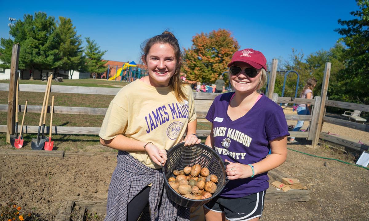 Two JMU Students smiling, holding up a basket of freshly dug potatoes. 