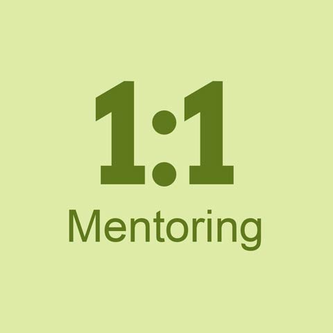 one to one mentoring