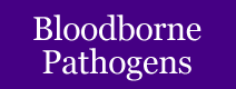 Bloodborne Pathogen