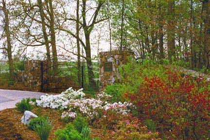 The Edith J. Carrier Arboretum in bloom