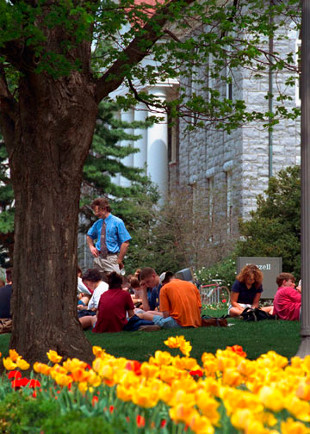 Students studying outside
