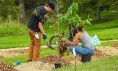 Tree planting in JMU's food forest