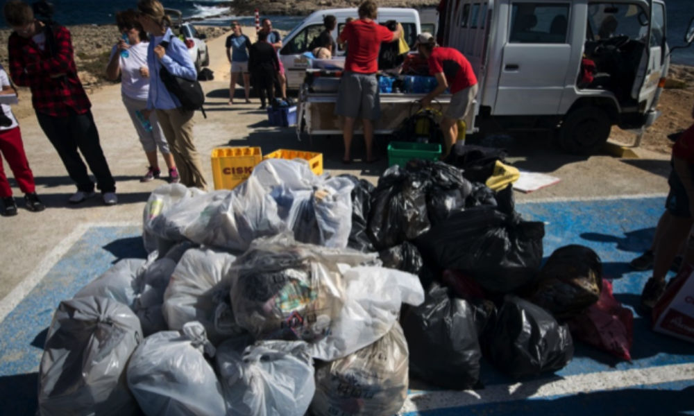 Much of the collected trash was recyclable material. 