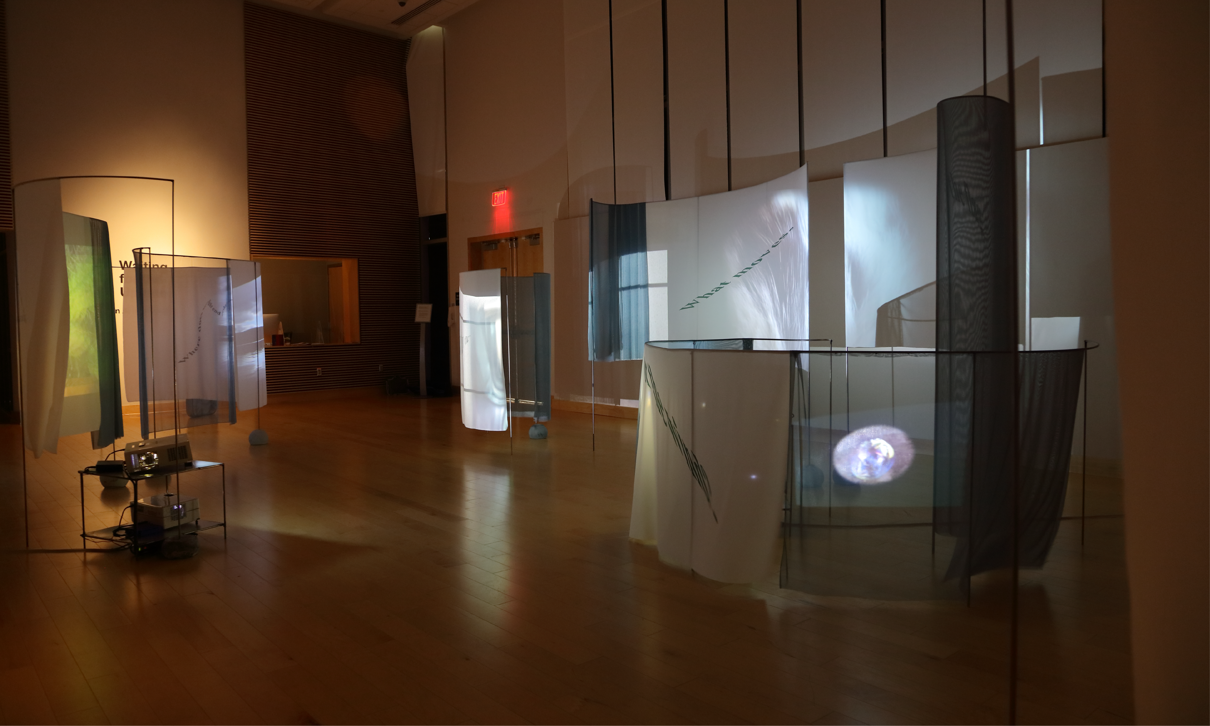 A view of the front of the gallery photographed from the back left corner. Several projection screens and a projector.