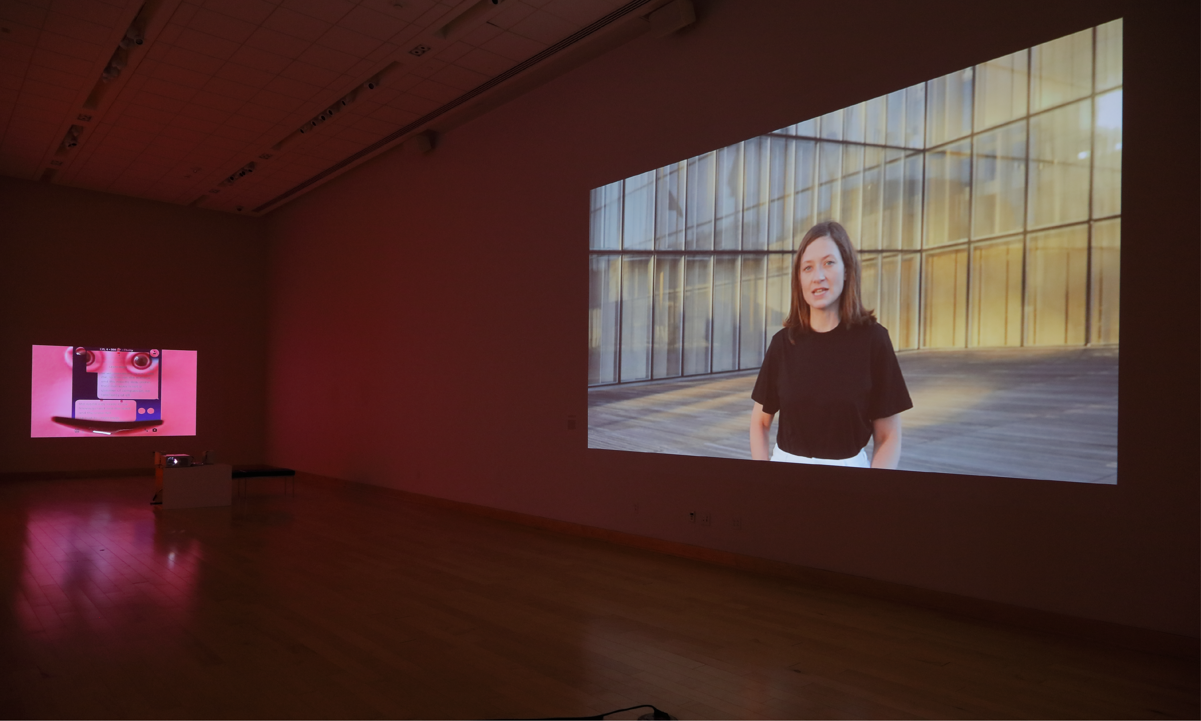 A still of a woman speaking in front of a glass building is projected onto a wall on the right and on the left is a pink projection of an artwork. The work features human eyes and text messages.