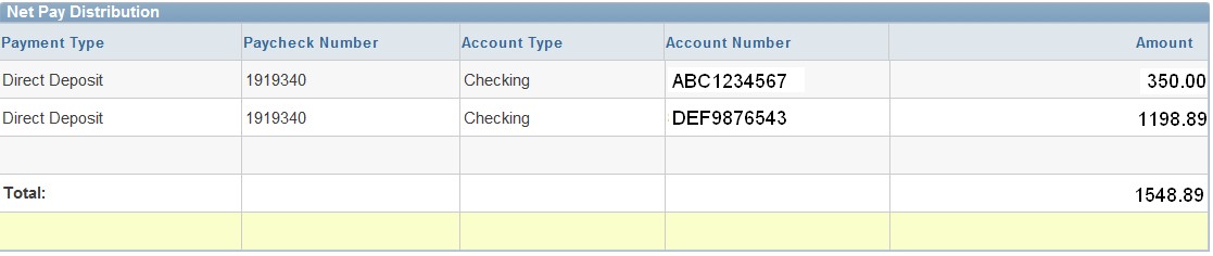 Net Pay section