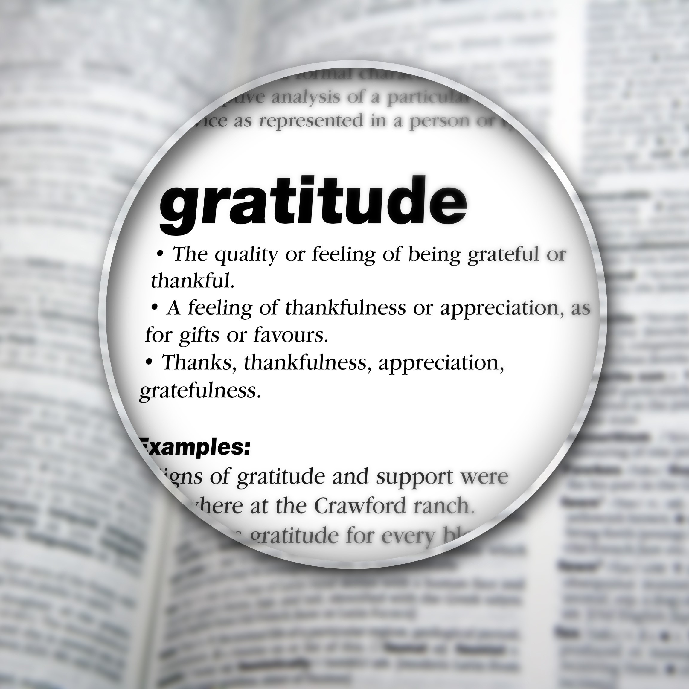 image for Gratitude Challenge