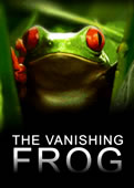 The Vanishing Frog