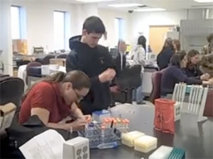 Students working in a lab.