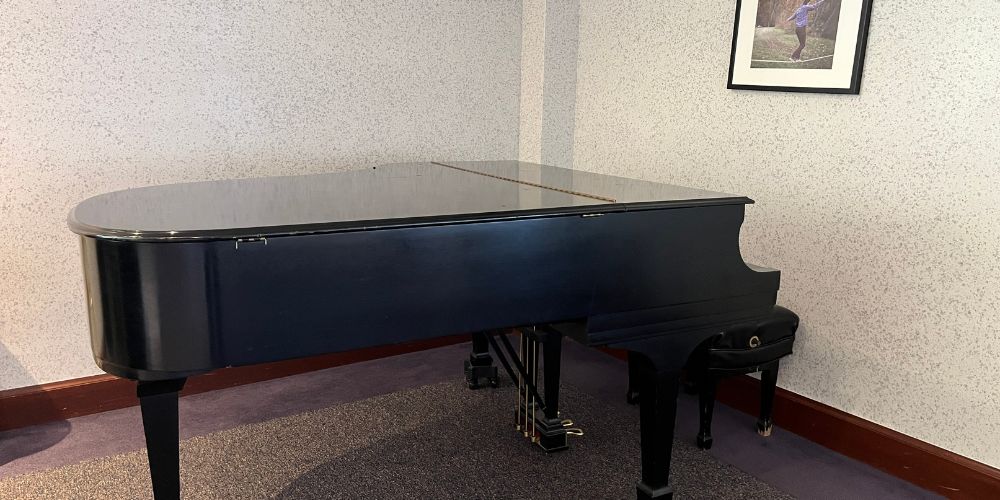 Taylor 405 offers a piano