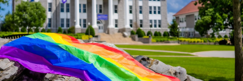 prideflagwilson.png