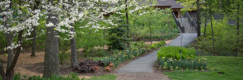 Spring in the Arboretum