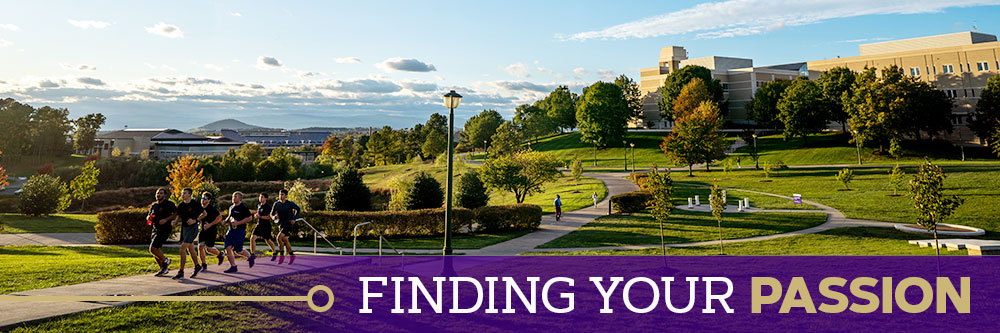 Finding Your Passion