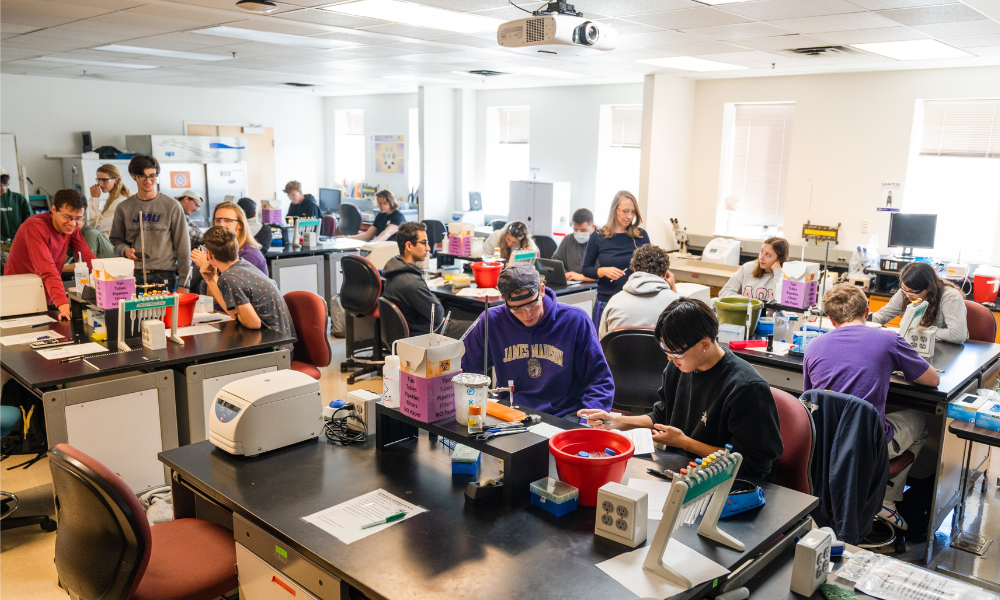 JMU Students in Lab in King Hall