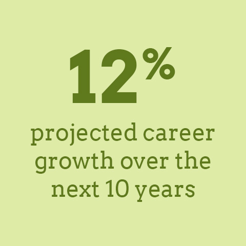 12% projected growth in the IT field over the next 10 years