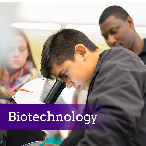 Biotechnology: Play Video