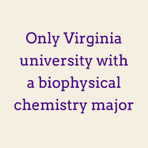 Only Virginia university with a biophysical chemistry major.