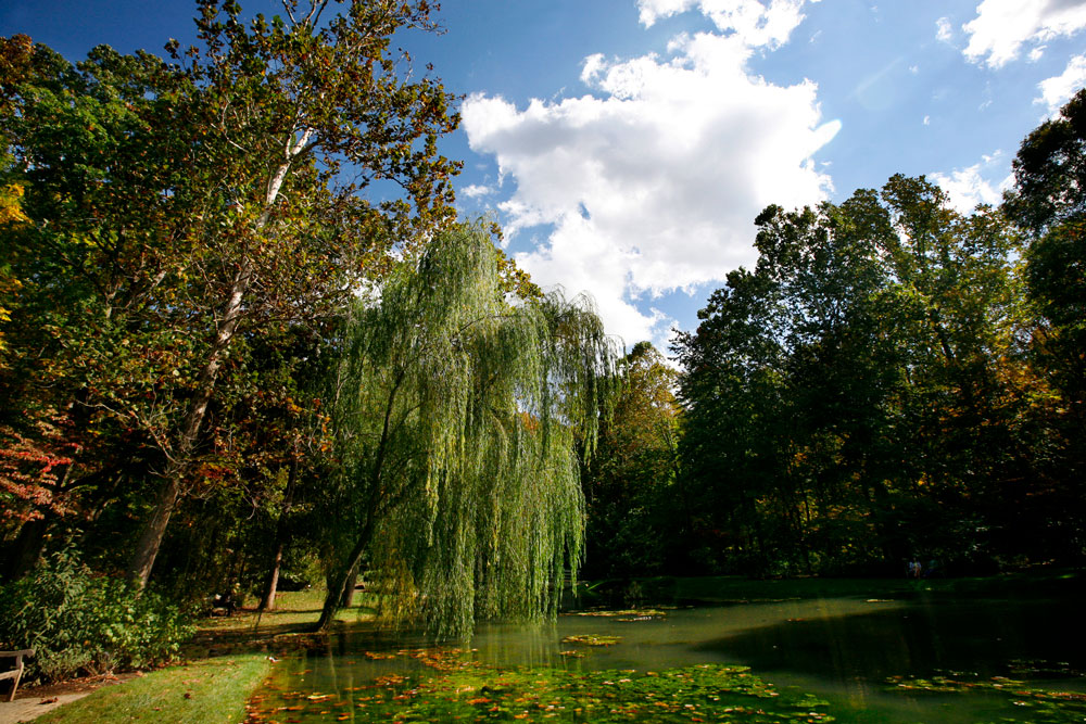 arboretum