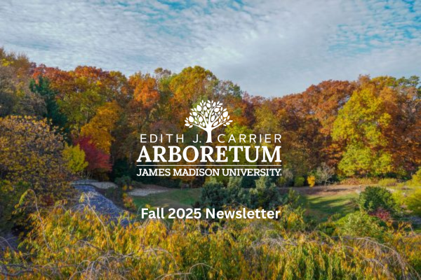 image for View the Newsletter
