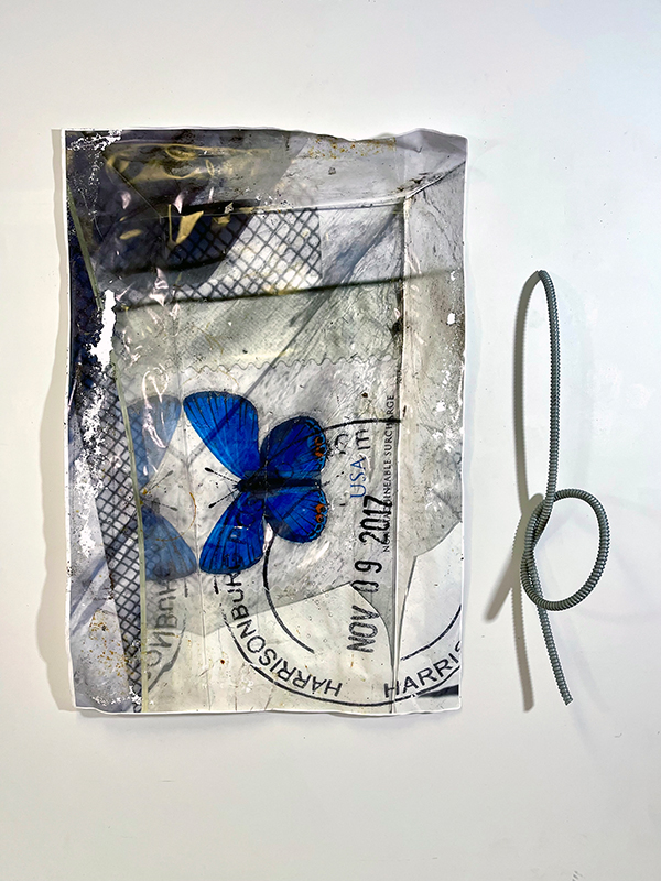 Diop Butterfly