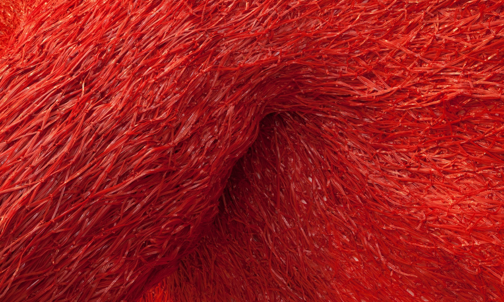 Close-up details of MiKyoung's "Symbiosis." Red constructed textile piece