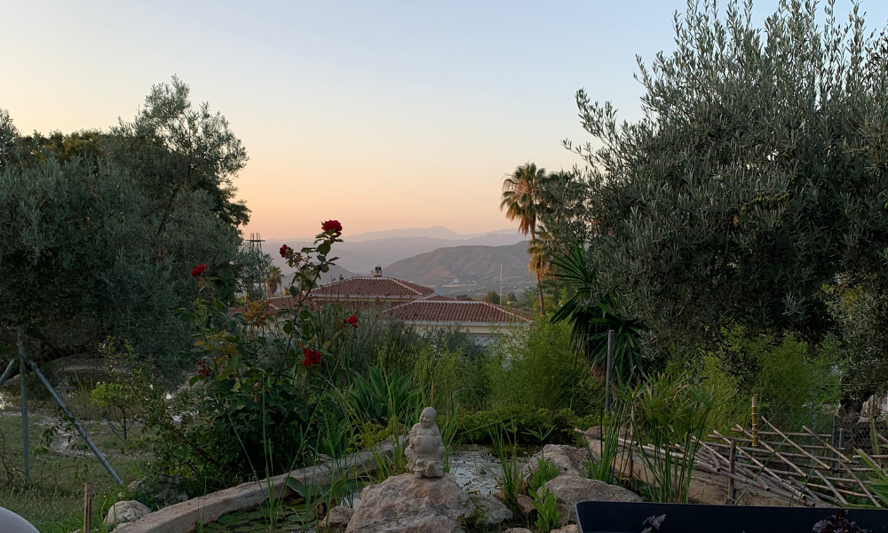 Sunset view from Bajo el Olivo