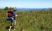 Mat Cloak ('10) checks out the scenic view along the Appalachian Trail.