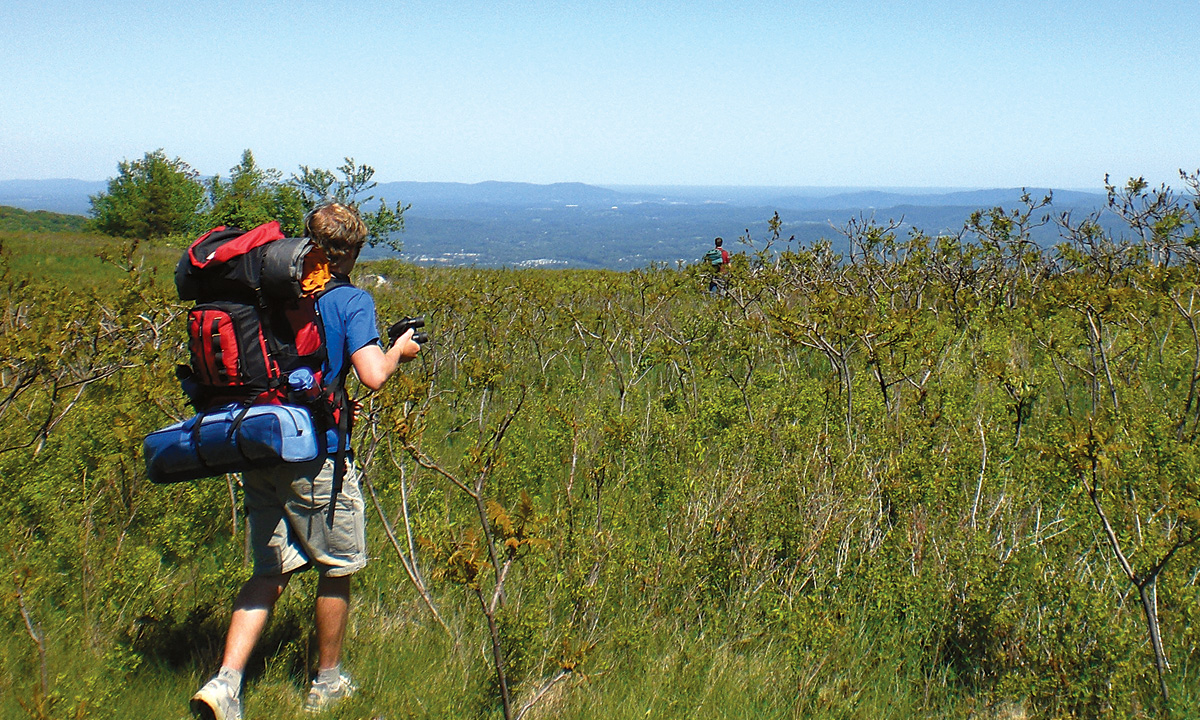 Mat Cloak ('10) checks out the scenic view along the Appalachian Trail.