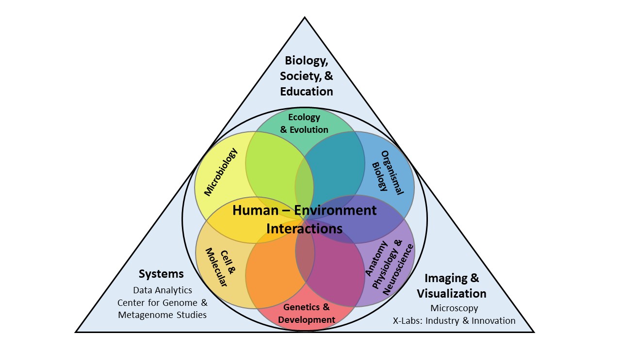 BioCourseDiagram