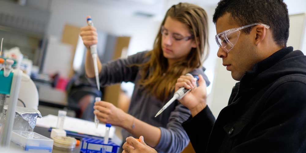 Students working on microphage research