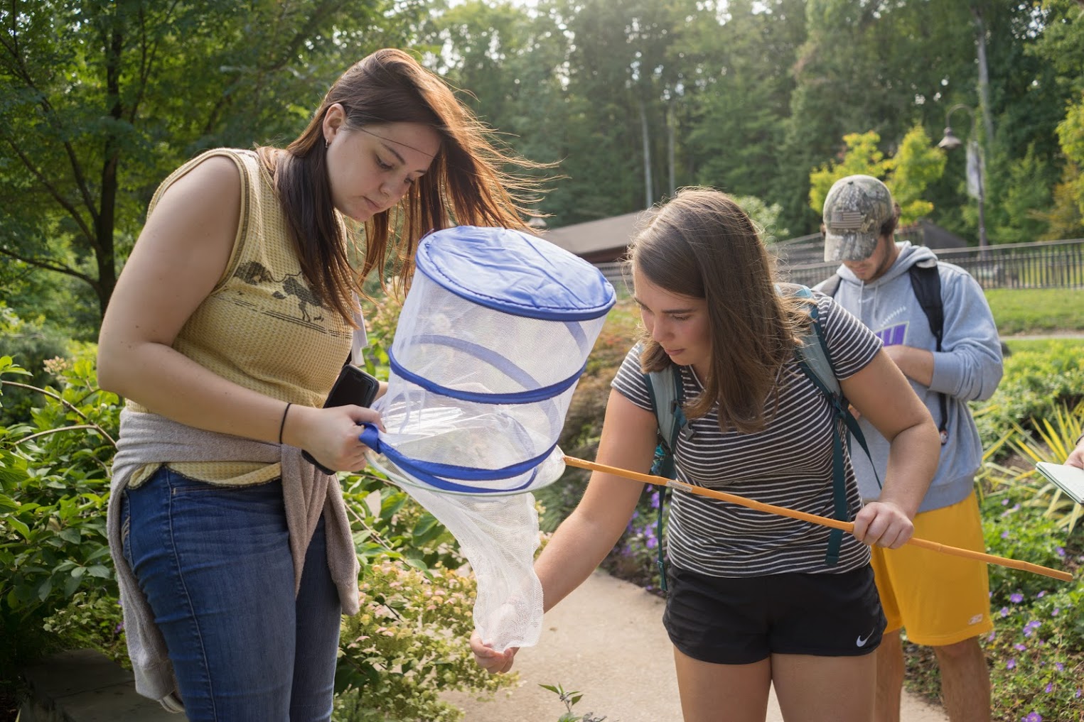 outdoor-class-bug-net