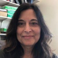 Profile Image for Kimberly Slekar