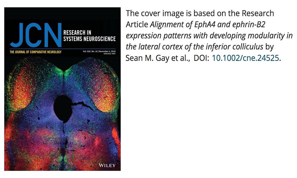 Journal of Comparative Neurology, Systems Neuroscience Journal